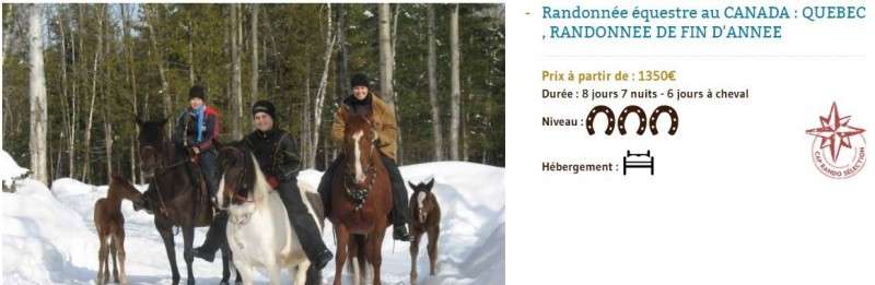 randonnée à cheval fin d'année québec