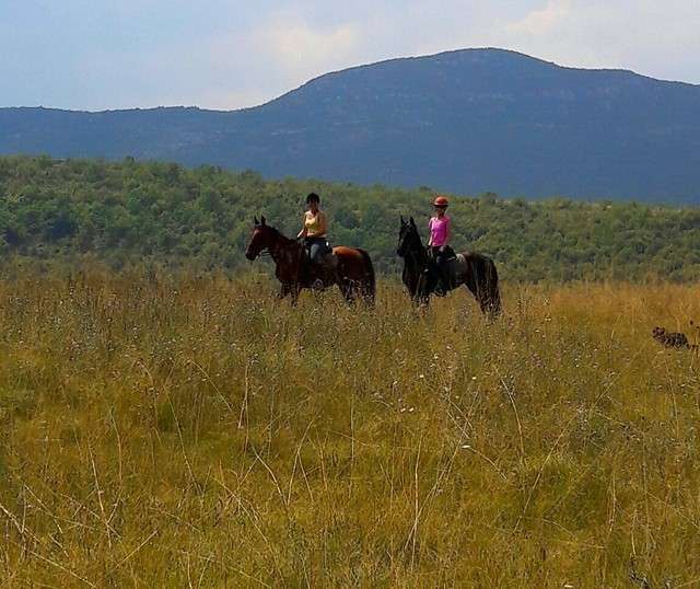 randonnée à cheval en Croatie