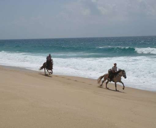 randonnee equestre portugal
