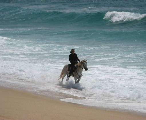 trek a cheval portugal