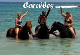 Randonnée à cheval Caraibes