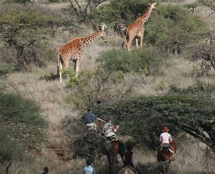 safari Kenya a cheval