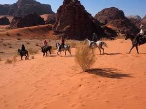 randonnee a cheval en jordanie
