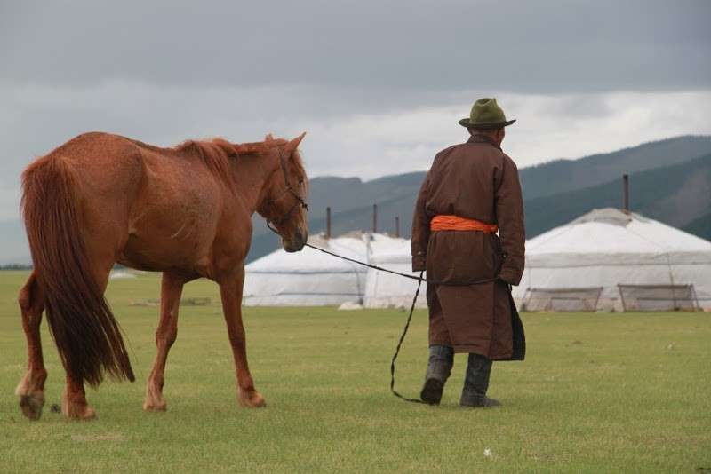 Découverte de la Mongolie à cheval
