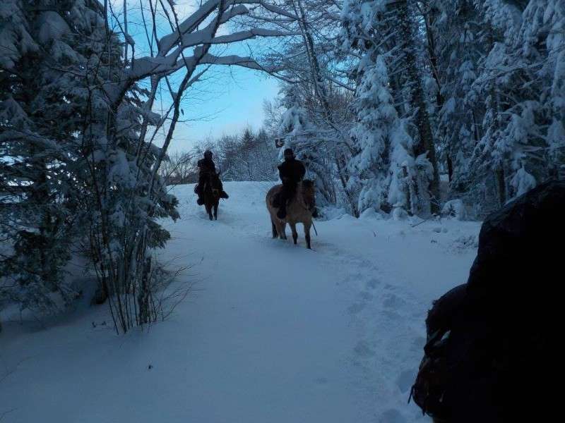 randonnee equestre dans la neige