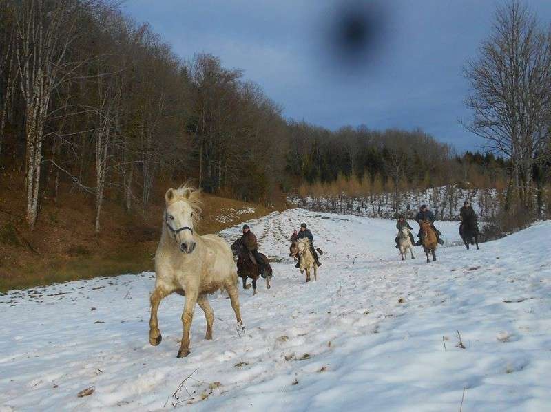 rando equestre dans la neige