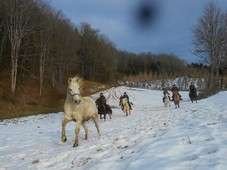 randonnee a cheval jura dans la neige