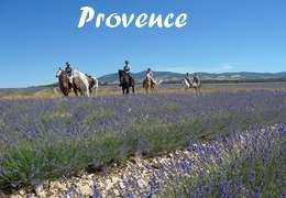 Randonnée à Cheval Provence