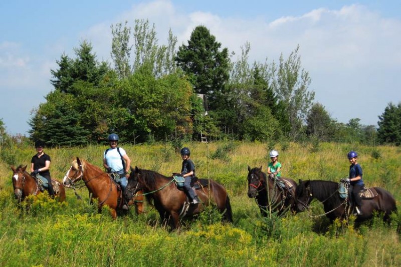 Randonnee Equestre CANADA DECOUVERTE DU QUEBEC Cap Rando