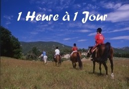 Promenades à cheval en Provence