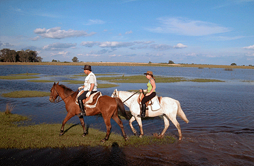 rando a cheval argentine