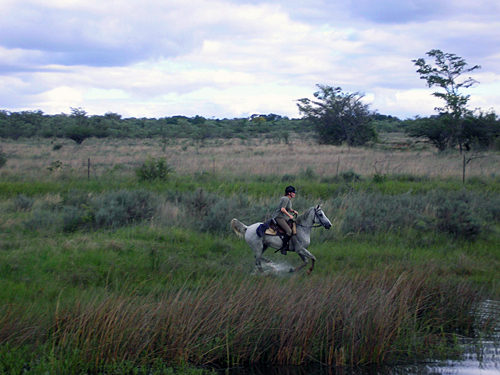 Image Afrique du Sud & Botswana : Exploration de la faune en safari à cheval