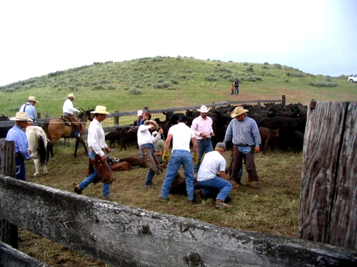 Image Usa : Randonnées à cheval et travail dans un ranch du Montana