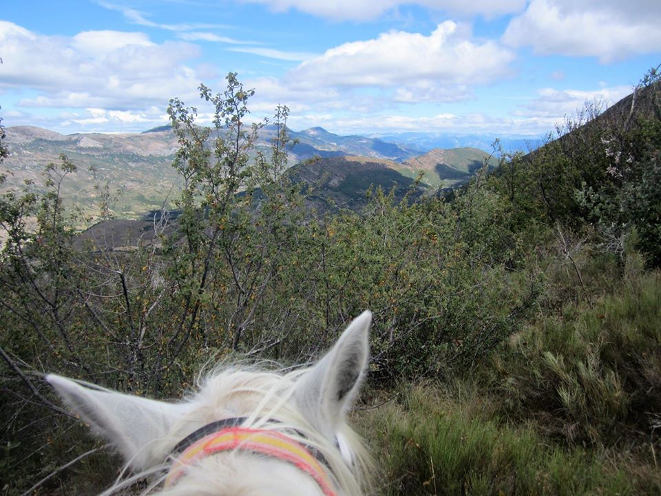Image Parfums et villages perchés, voyage à cheval du Luberon à la Haute Provence