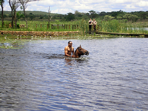 Image Afrique du Sud & Botswana : Exploration de la faune en safari à cheval
