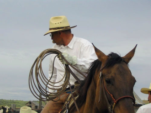 Image Usa : Randonnées à cheval et travail dans un ranch du Montana
