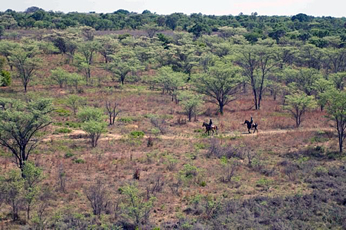 Image Afrique du Sud & Botswana : Exploration de la faune en safari à cheval