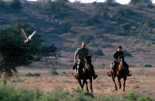 Image Afrique du Sud & Botswana : Exploration de la faune en safari à cheval