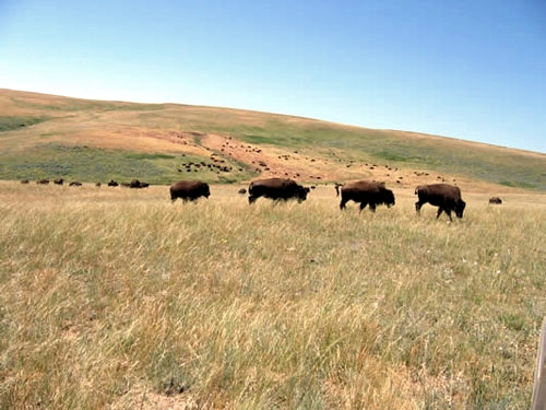 Image Usa : Randonnées à cheval et travail dans un ranch du Montana