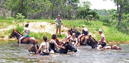 Image Afrique du Sud & Botswana : Exploration de la faune en safari à cheval