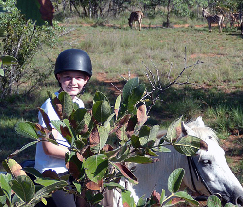 Image Afrique du Sud & Botswana : Exploration de la faune en safari à cheval