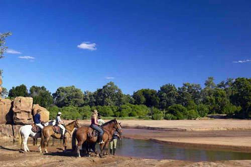 Image Afrique du Sud & Botswana : Exploration de la faune en safari à cheval