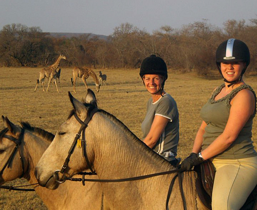 Image Afrique du Sud & Botswana : Exploration de la faune en safari à cheval