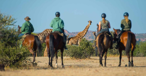 Image Afrique du Sud & Botswana : Exploration de la faune en safari à cheval