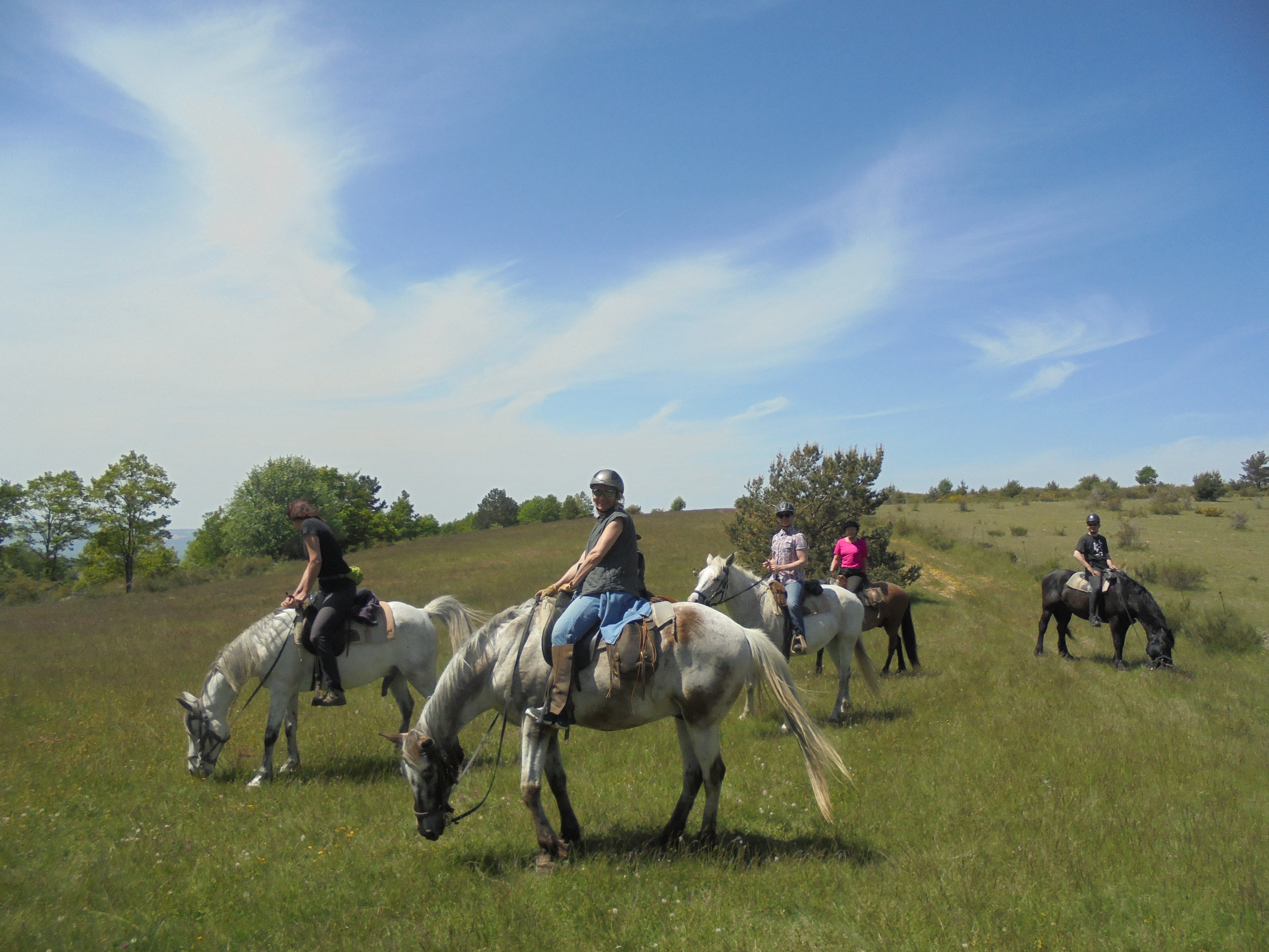 Voyage à cheval HAUTE PROVENCE