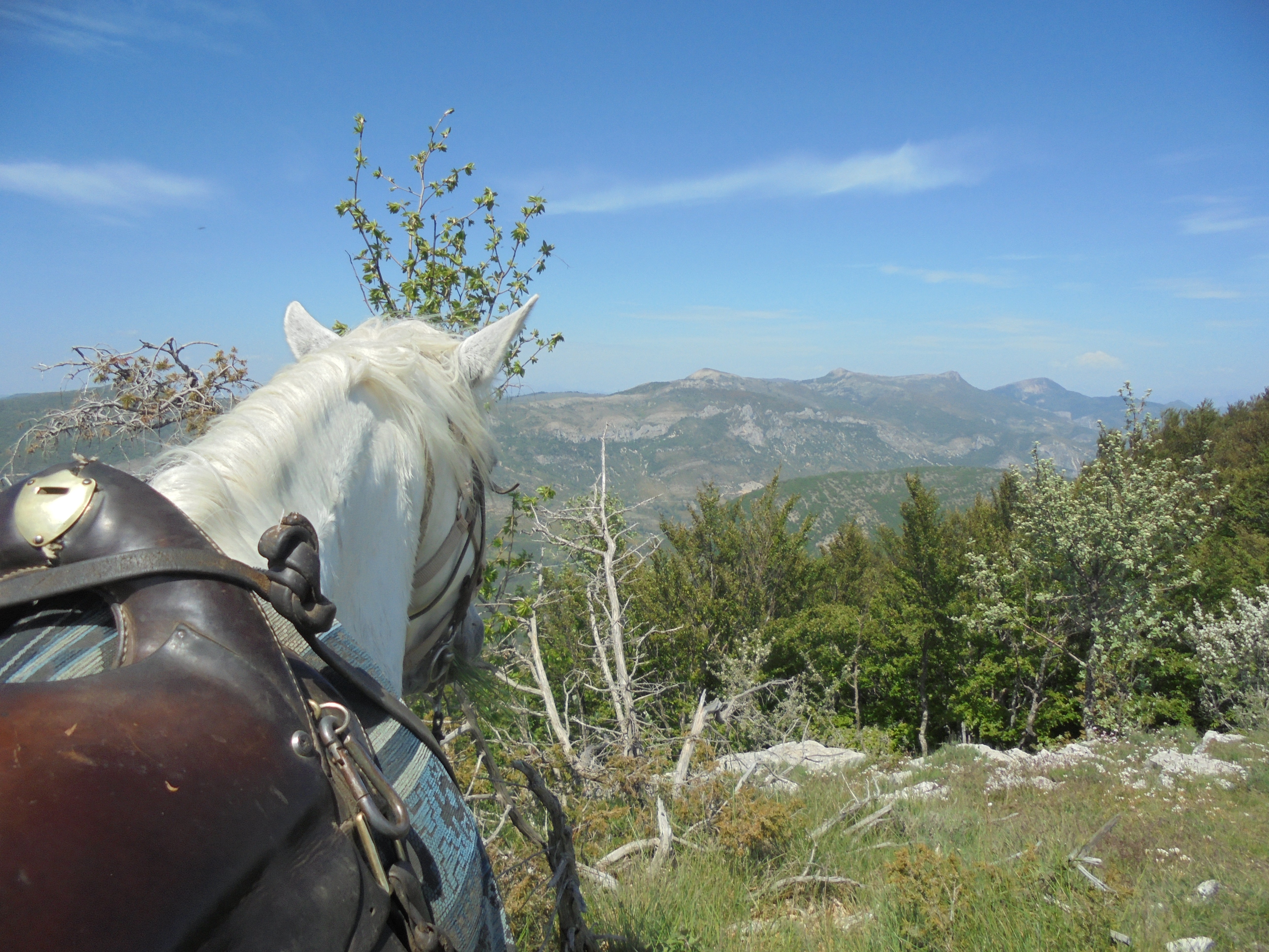 Voyage à cheval HAUTE PROVENCE