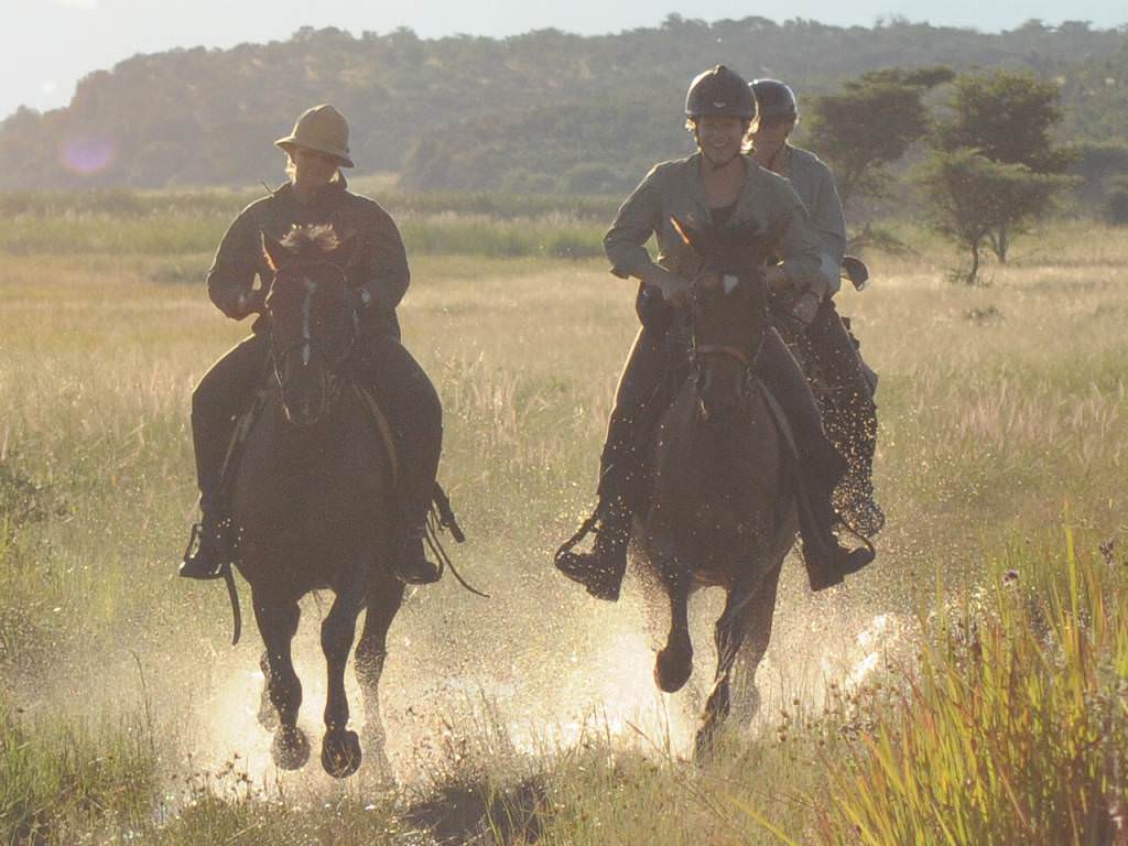 Image Afrique du Sud & Botswana : Exploration de la faune en safari à cheval