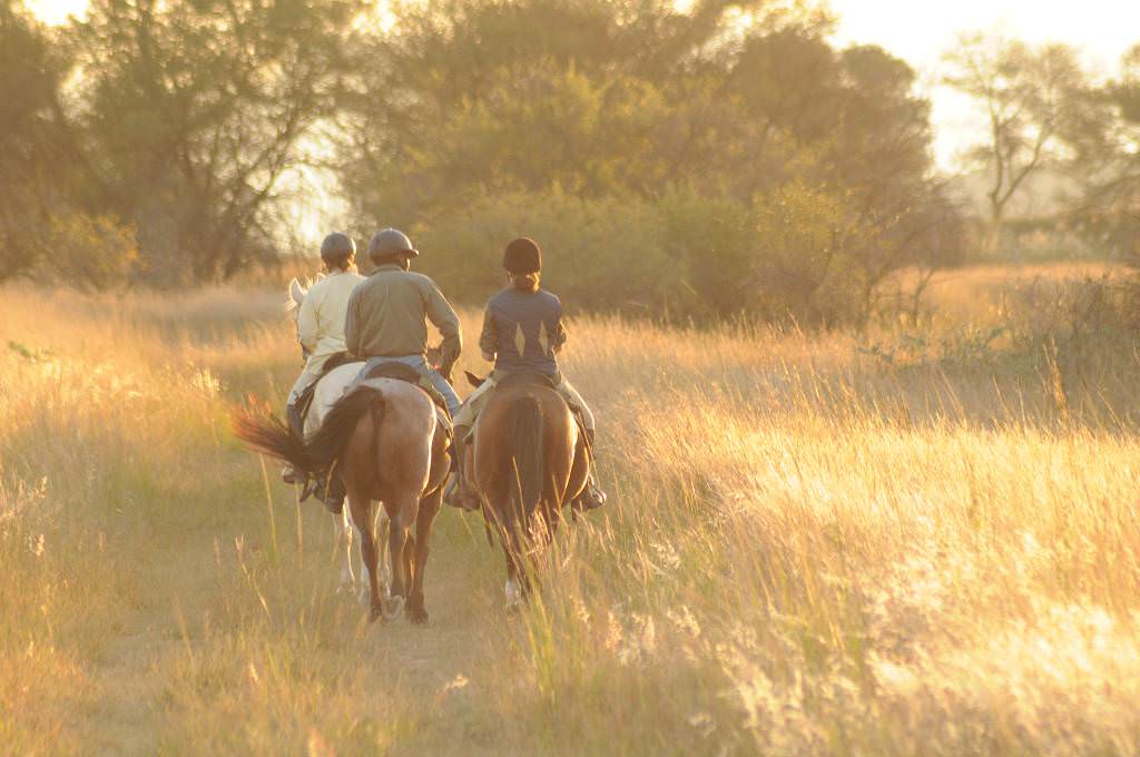 Image Afrique du Sud & Botswana : Exploration de la faune en safari à cheval