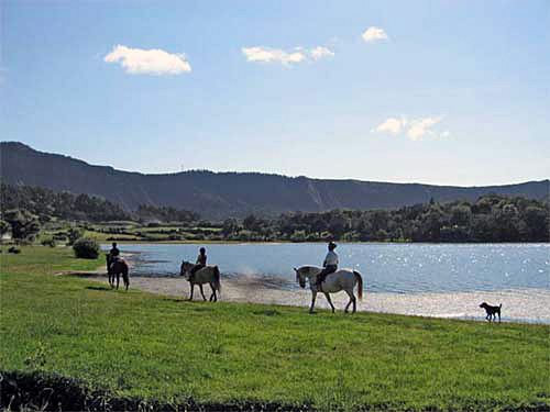 quinta avec cheval aux Acores