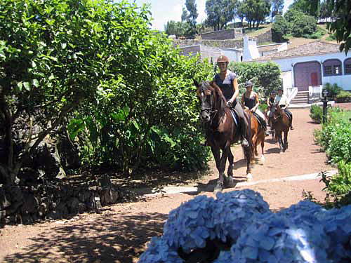 Image Rando à cheval dans les Acores "Atlantis" et "Ile Verte"