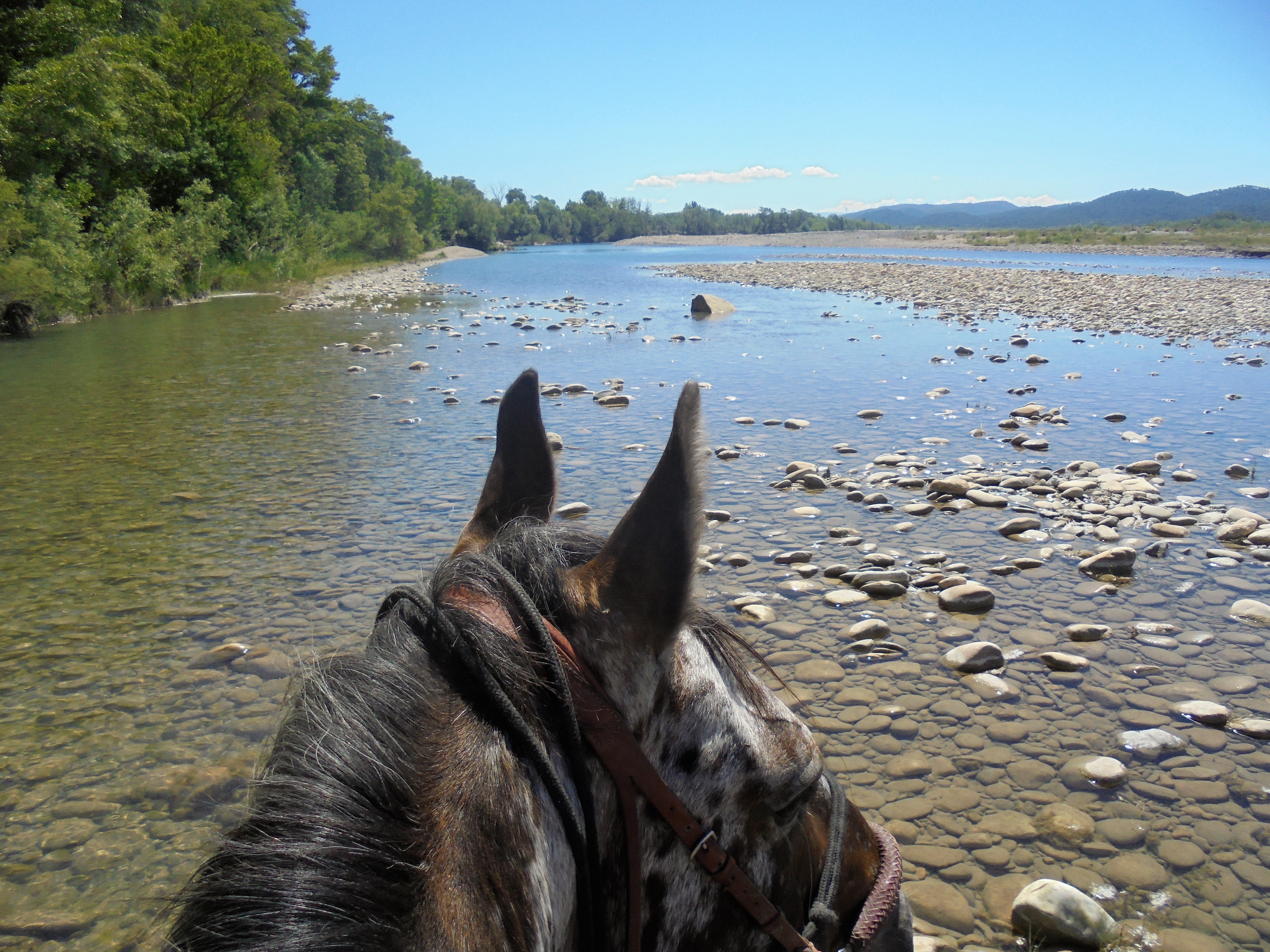 Image Cheval & Nature, découverte du Luberon et du voyage à cheval