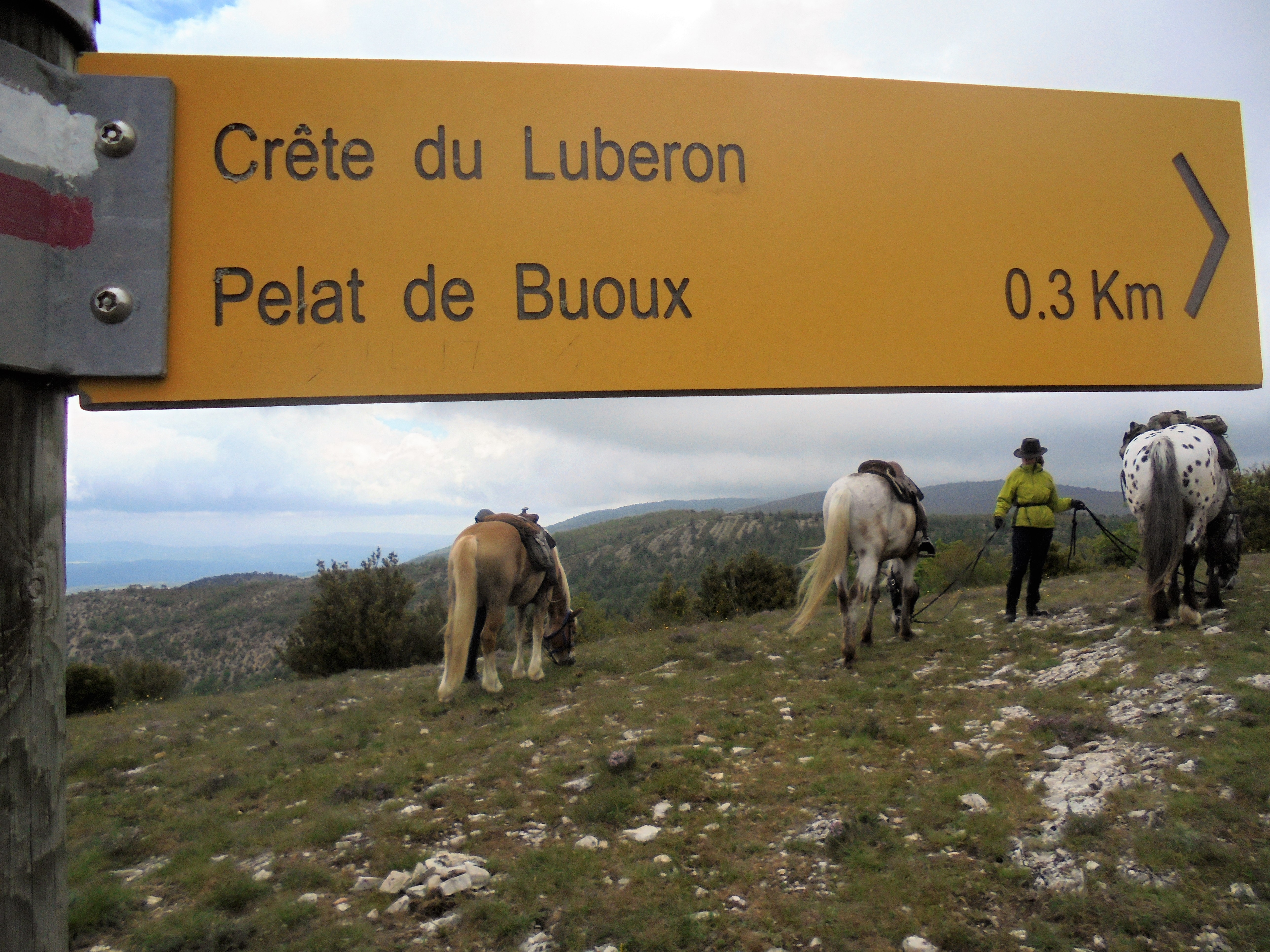 Image Cheval & Nature, découverte du Luberon et du voyage à cheval