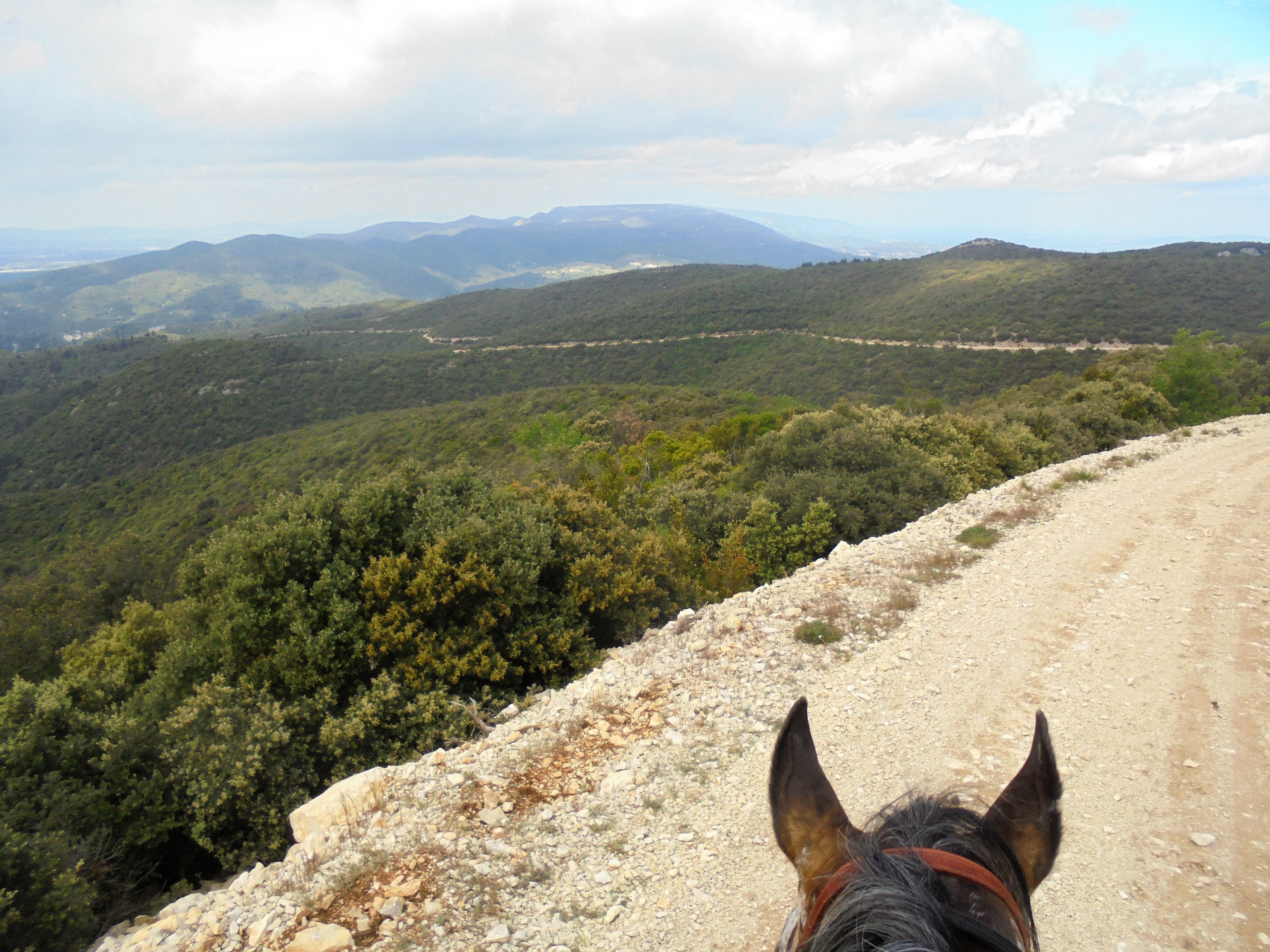 Image Cheval & Nature, découverte du Luberon et du voyage à cheval