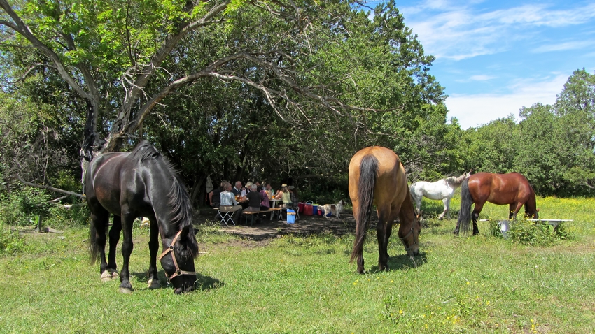 Image Le Désert des Agriates en Corse à cheval