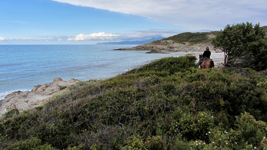 Image Le Désert des Agriates en Corse à cheval