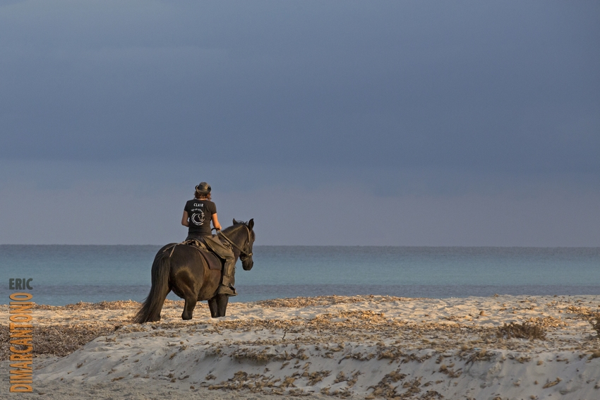 Image Le Désert des Agriates en Corse à cheval
