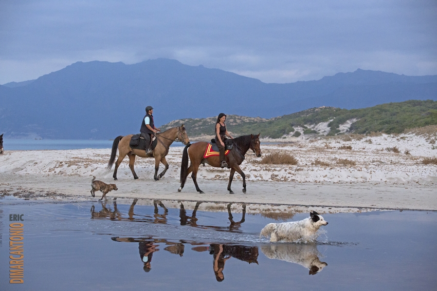 Image Le Désert des Agriates en Corse à cheval