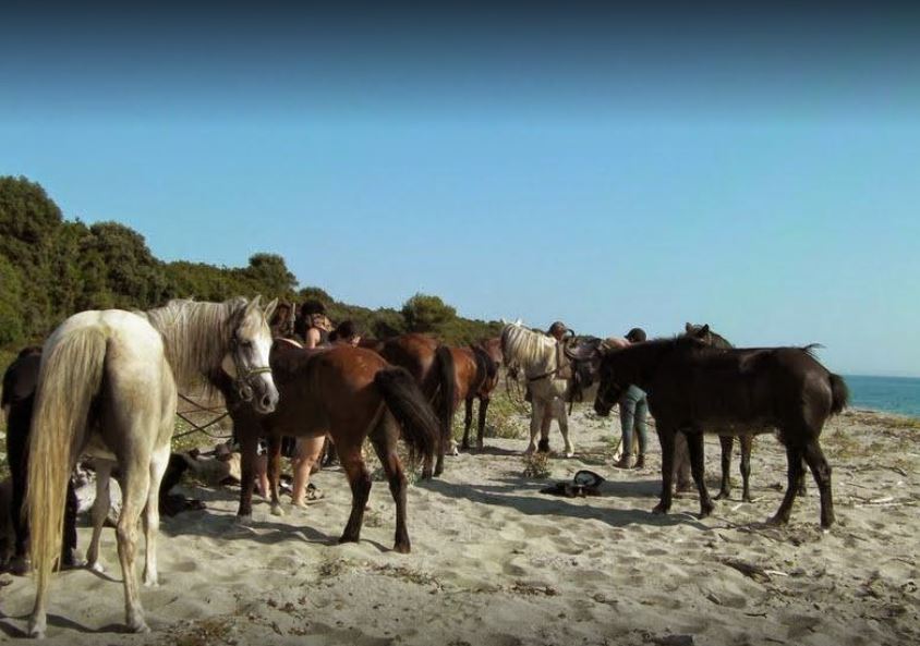 Image Le Désert des Agriates en Corse à cheval