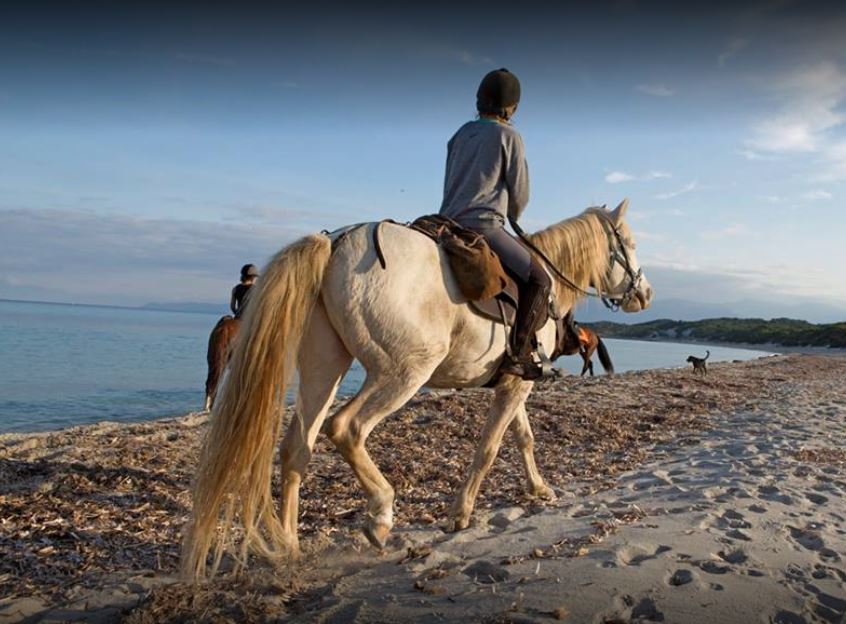 Image Le Désert des Agriates en Corse à cheval