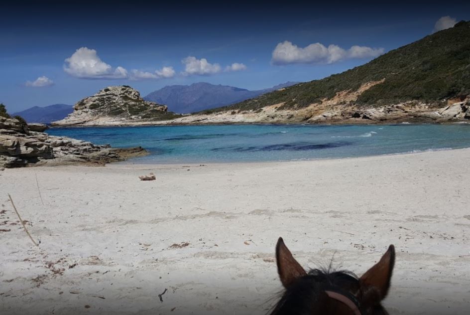 Image Le Désert des Agriates en Corse à cheval