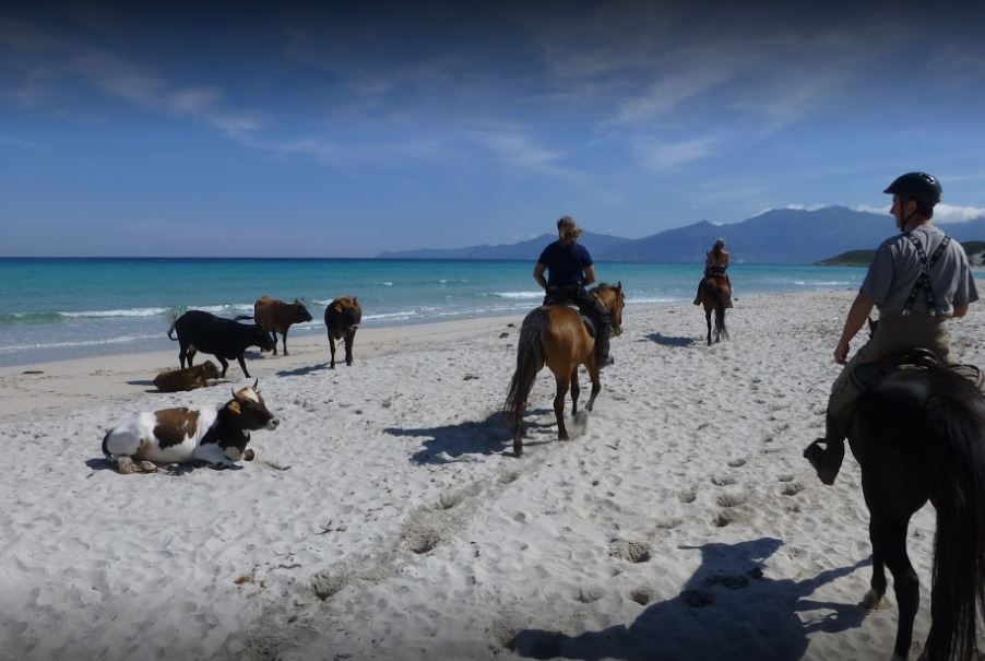 Image Le Désert des Agriates en Corse à cheval