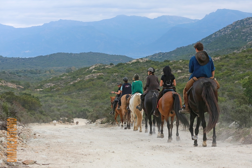 Image Mer et Montagne Corse à cheval