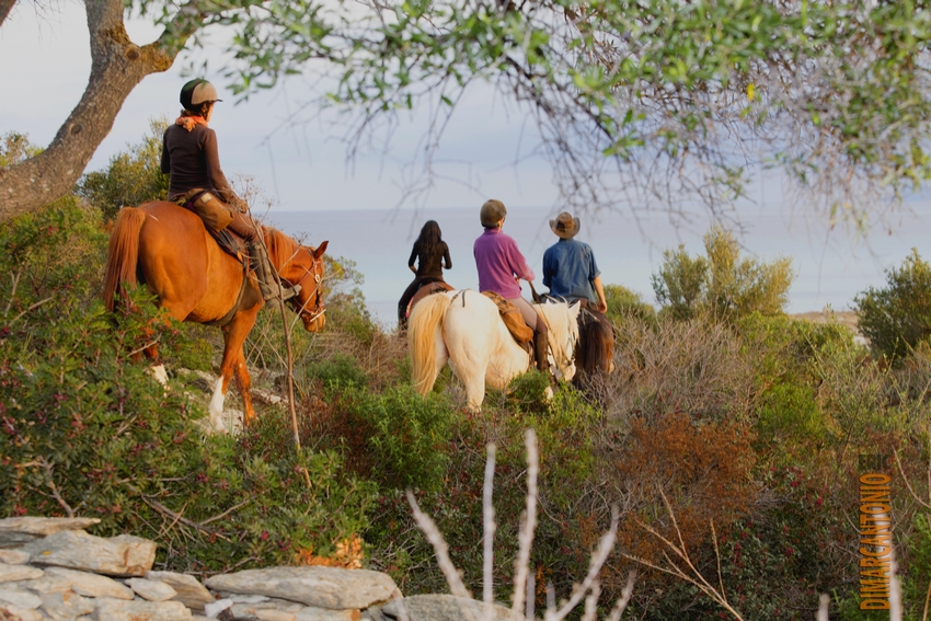 Image Mer et Montagne Corse à cheval