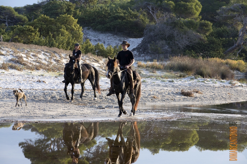 Image Mer et Montagne Corse à cheval