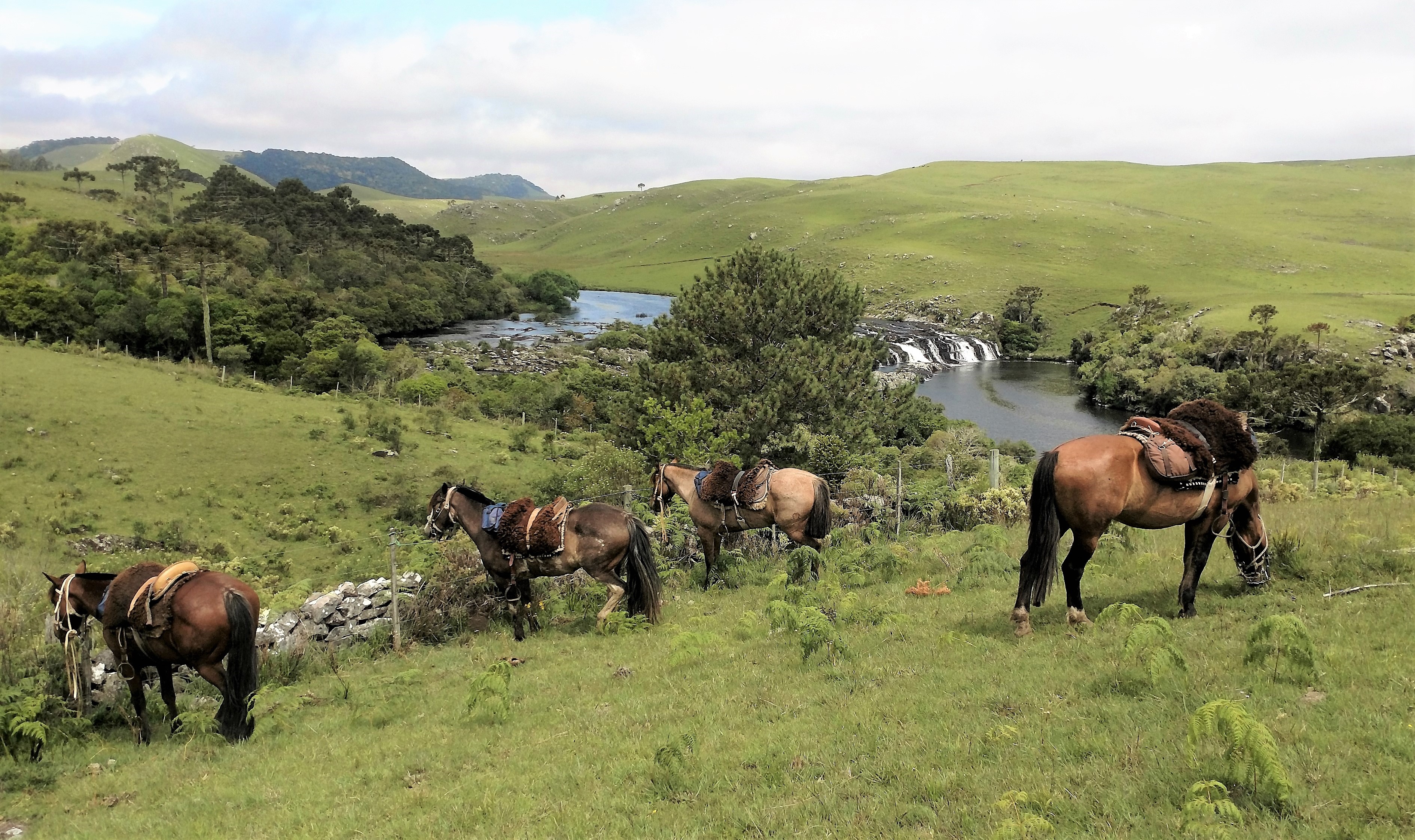Image Brésil : Canyons et cascades au pays des gauchos à cheval