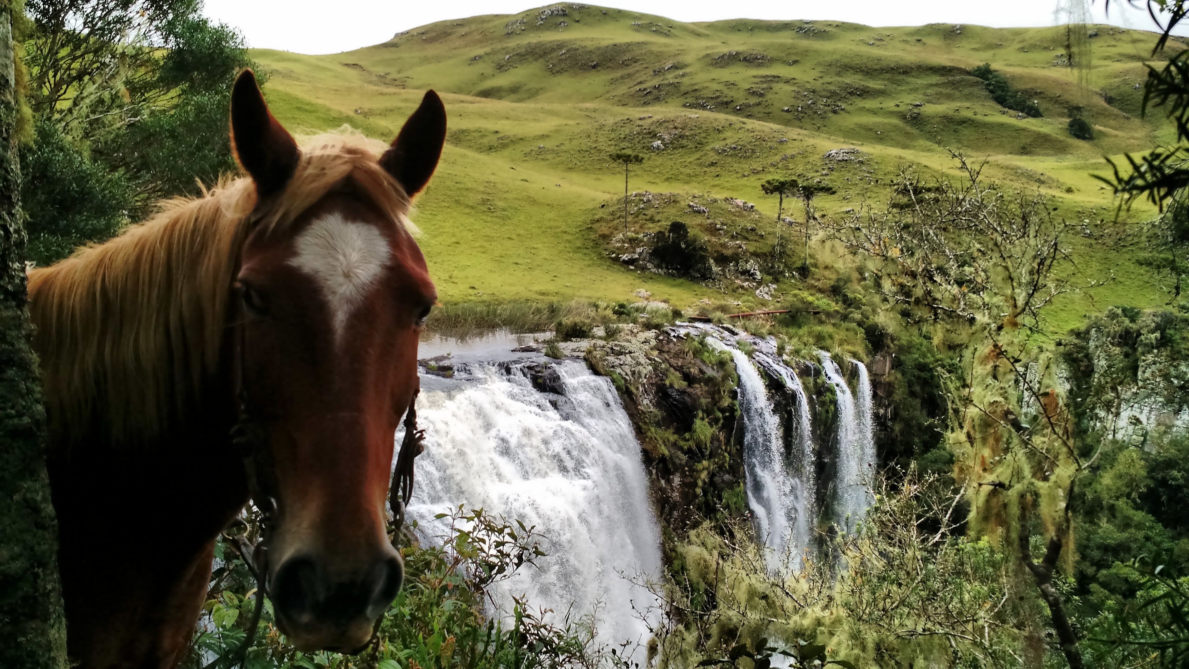 Image Brésil : Canyons et cascades au pays des gauchos à cheval